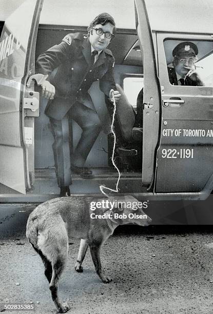 Sad-looking stray was picked up yesterday by John MacArthur; a driver-agent for the Toronto Humane Society; and taken to the society shelter on...