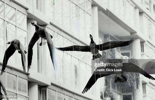 Snow storm: Artist Michael Snow recently won a court action to get the Eaton Centre management to remove red Christmas ribbons from the geese in his...