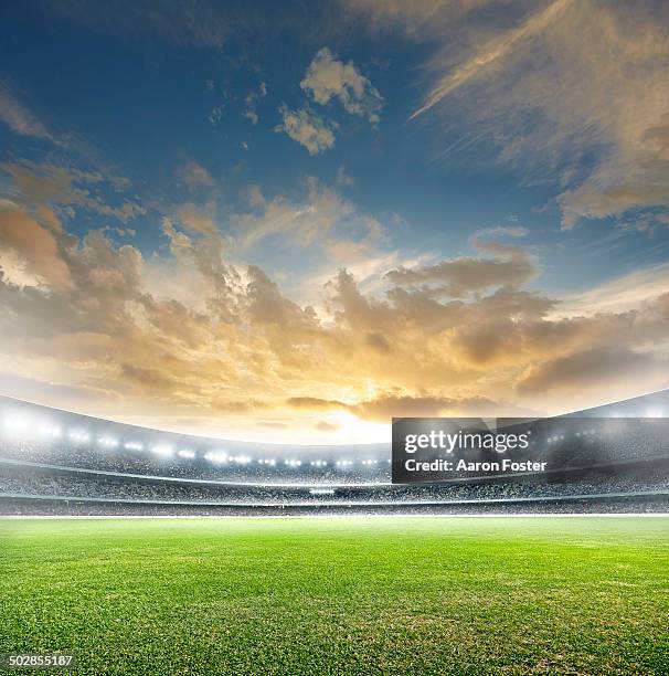 football stadium - soccer field - fotografias e filmes do acervo