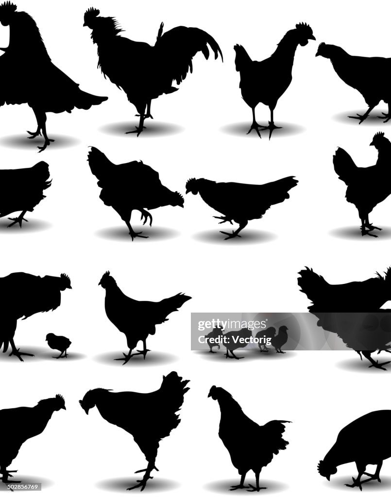 Chicken Silhouette