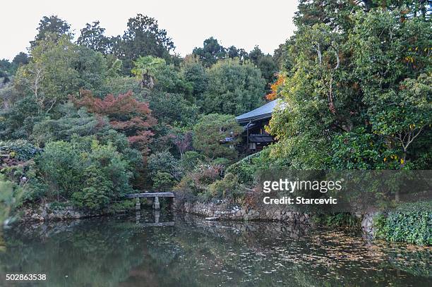 autumn colors at the ryoan-ji temple in kyoto, japan - ryoan ji stock pictures, royalty-free photos & images