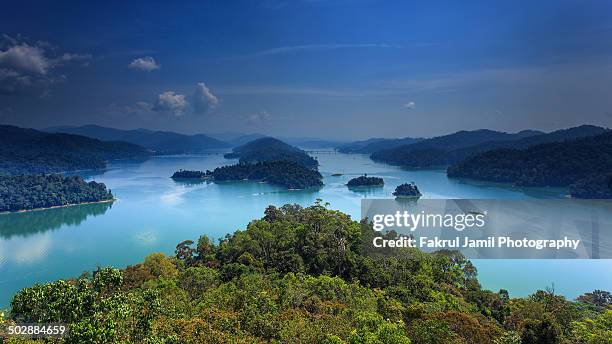 royal belum state park - perak state stock pictures, royalty-free photos & images