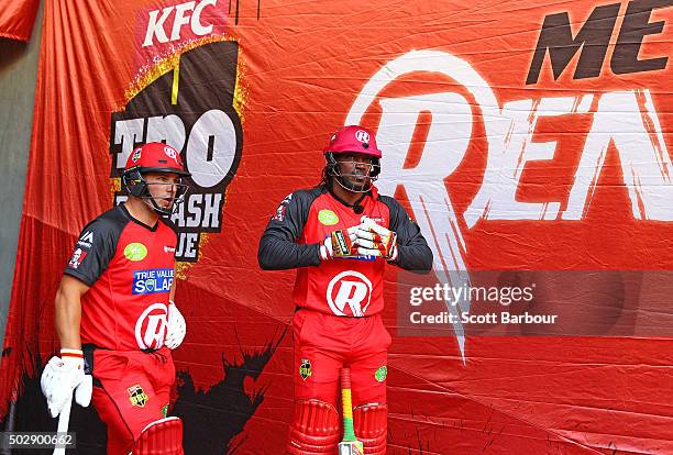 Chris Gayle and Aaron Finch of the Renegades walk out to open the batting during the Big Bash League match between the Melbourne Renegades and the...
