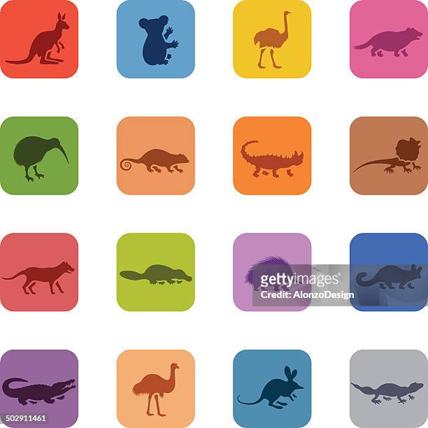 colorful australian animal icon set - kiwi bird stock illustrations