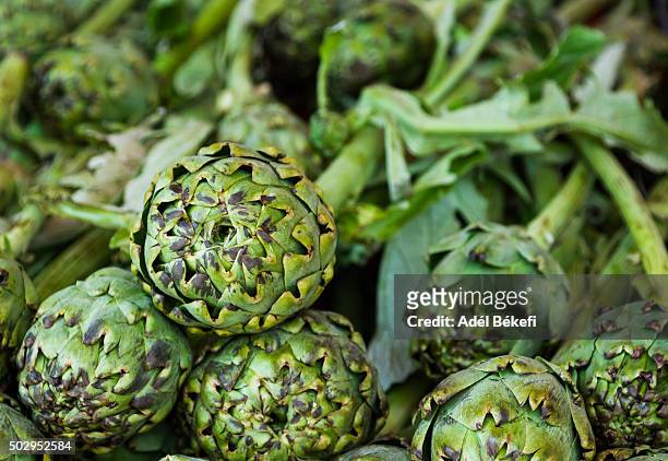 fresh artichokes - foodstyling stock-fotos und bilder