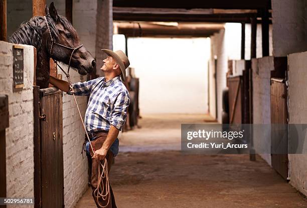 easy now big fella - rancher stockfoto's en -beelden