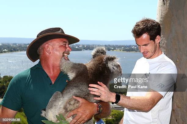 Andy Murray of Great Britain talks with Steve Gillam of Caversham Wildlife Park while patting Sunshine the Koala at Kings Park on December 31, 2015...