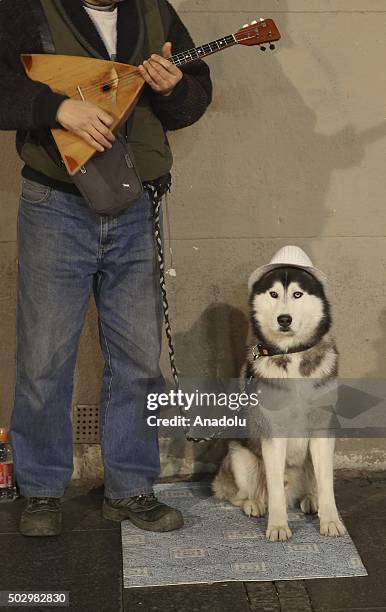 Street performer is seen with his dog as he plays his instrument at Knez Mihailova Street in Belgrade, Serbia on December 31, 2015.
