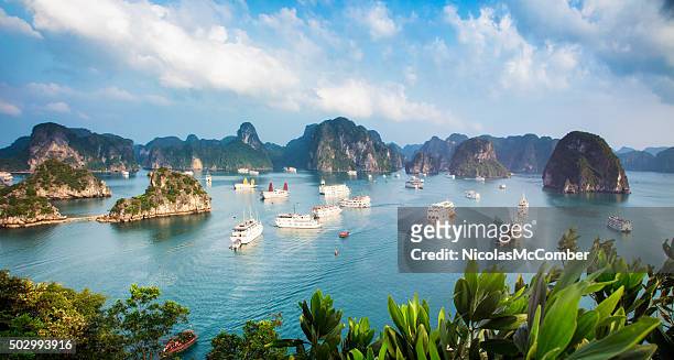 halong bay vietnam panorama at sunset with anchored ships - vietnam stock pictures, royalty-free photos & images