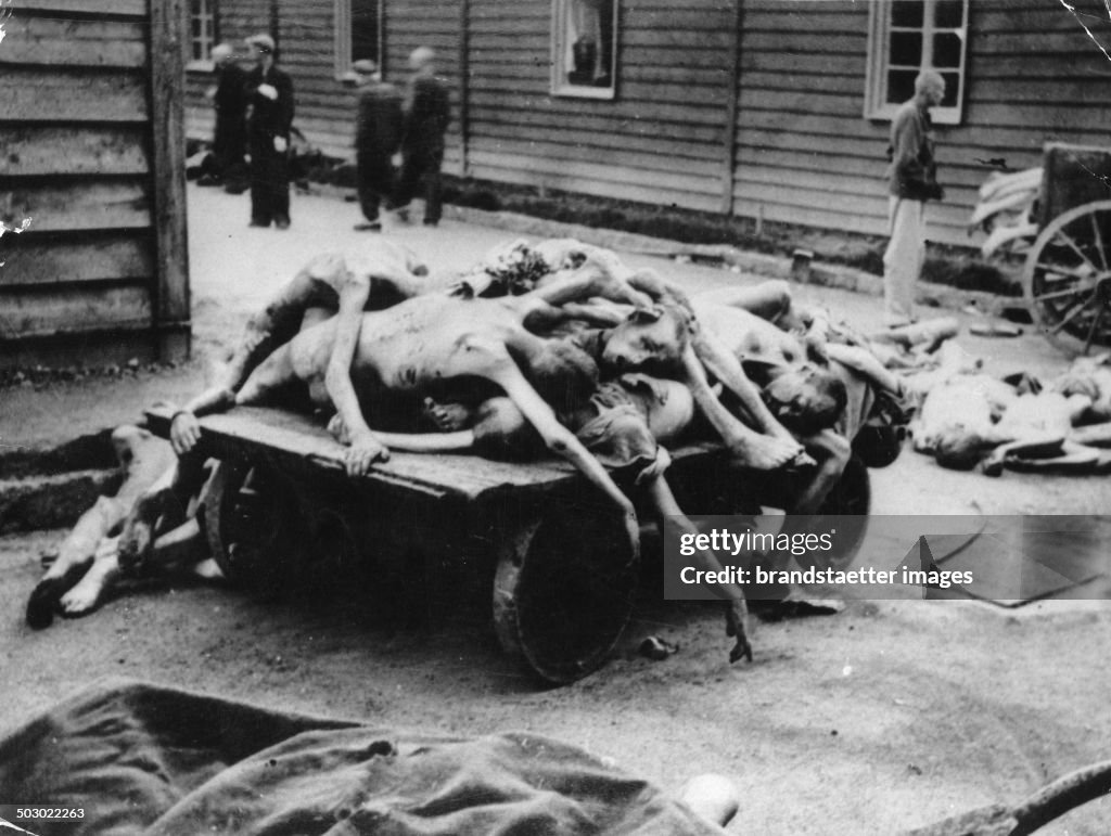 Murdered Prisoners At The Concentration Camp Auschwitz. Poland. Photograph. Ca. 1943.