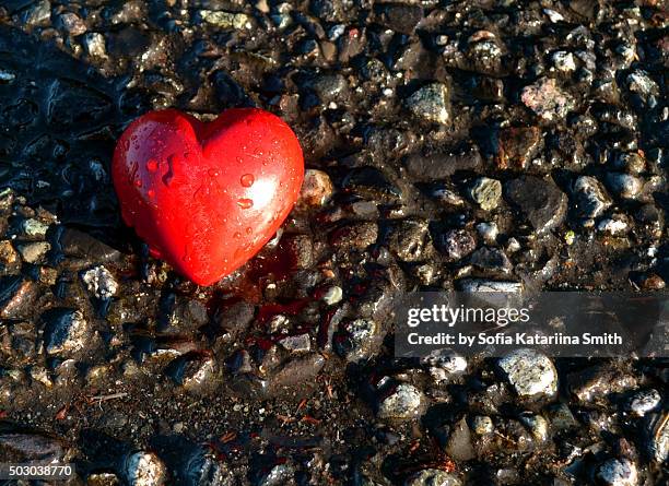 hearts after the rain - everson stato di washington foto e immagini stock