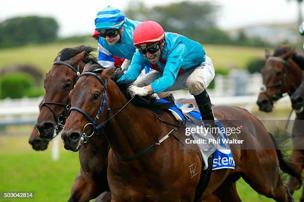 Opie Bosson riding Ryan Mark wins the Railway Stakes at Ellerslie Racecourse on January 1, 2016 in Auckland, New Zealand.