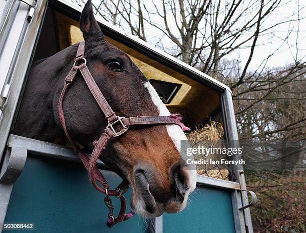 Horses arrive as the Cleveland Hunt prepares to ride out on the traditional New Year's Day hunt on January 1, 2016 in Guisborough, United Kingdom....