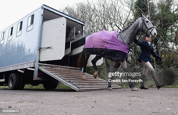 Rider leads her horse from a horsebox as the Cleveland Hunt prepares to ride out on the traditional New Year's Day hunt on January 1, 2016 in...