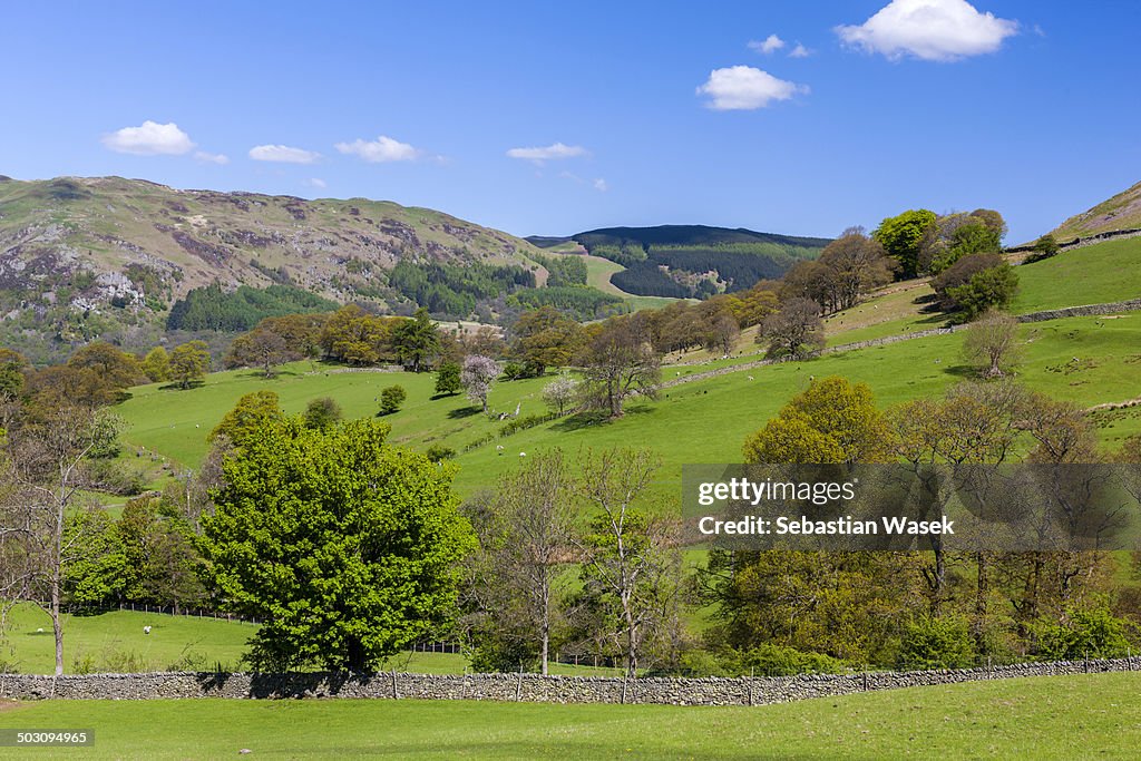 View over rural landscape