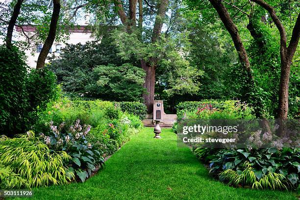 shade garden in evanston, illinois - hosta stock pictures, royalty-free photos & images