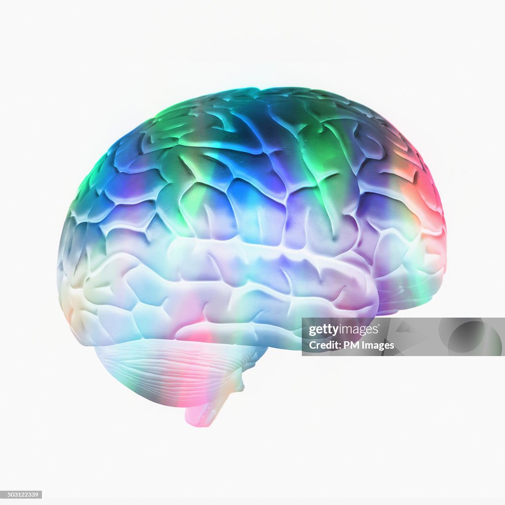Colorful brain on white background