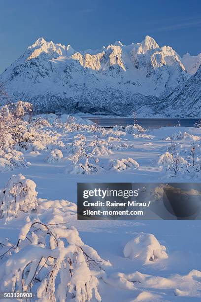 lofoten in winter - nordeuropa fotografías e imágenes de stock