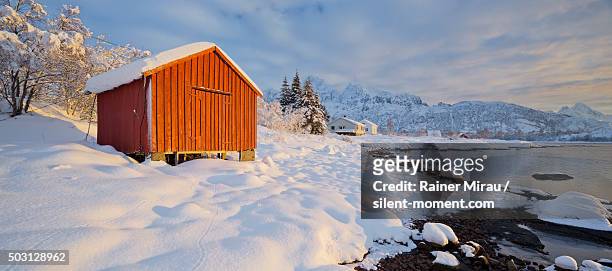 lofoten in winter - nordeuropa fotografías e imágenes de stock