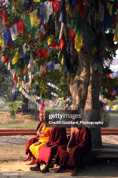 nepal: sermon at lumbini - lumbini nepal stock pictures, royalty-free photos & images