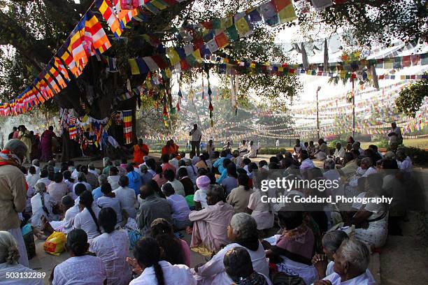 nepal: sermon at lumbini - lumbini nepal stock pictures, royalty-free photos & images