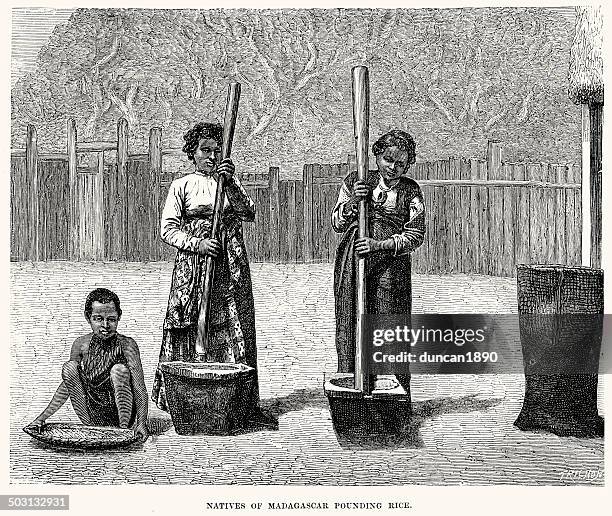 8,507 Old Rice Stock Photos, High-Res Pictures, and Images - Getty Images