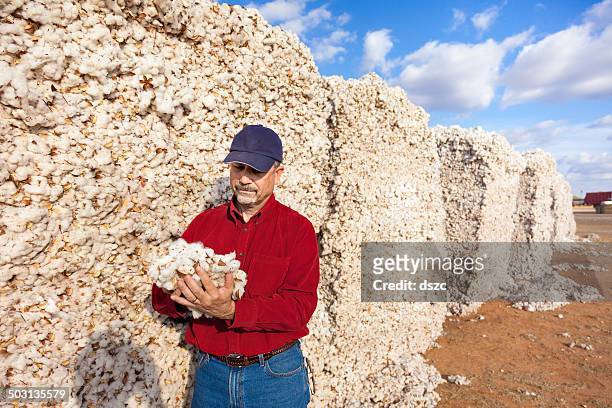 farmer inspects cotton quality in harvested module - organic cotton stock pictures, royalty-free photos & images