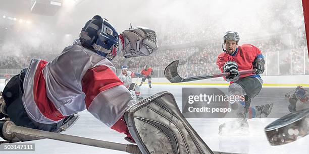 ice hockey player scoring - face off sports play stock pictures, royalty-free photos & images