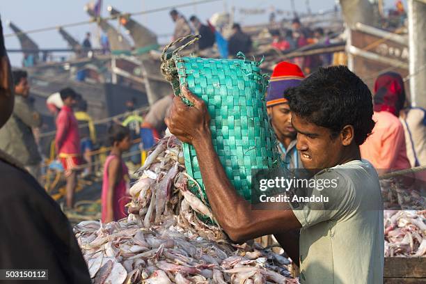 Fishermen unload their catch of fish from sea Bay of Bengal near fishing village Naziratek in Cox's Bazar on January 01, 2016. Naziratek on the beach...