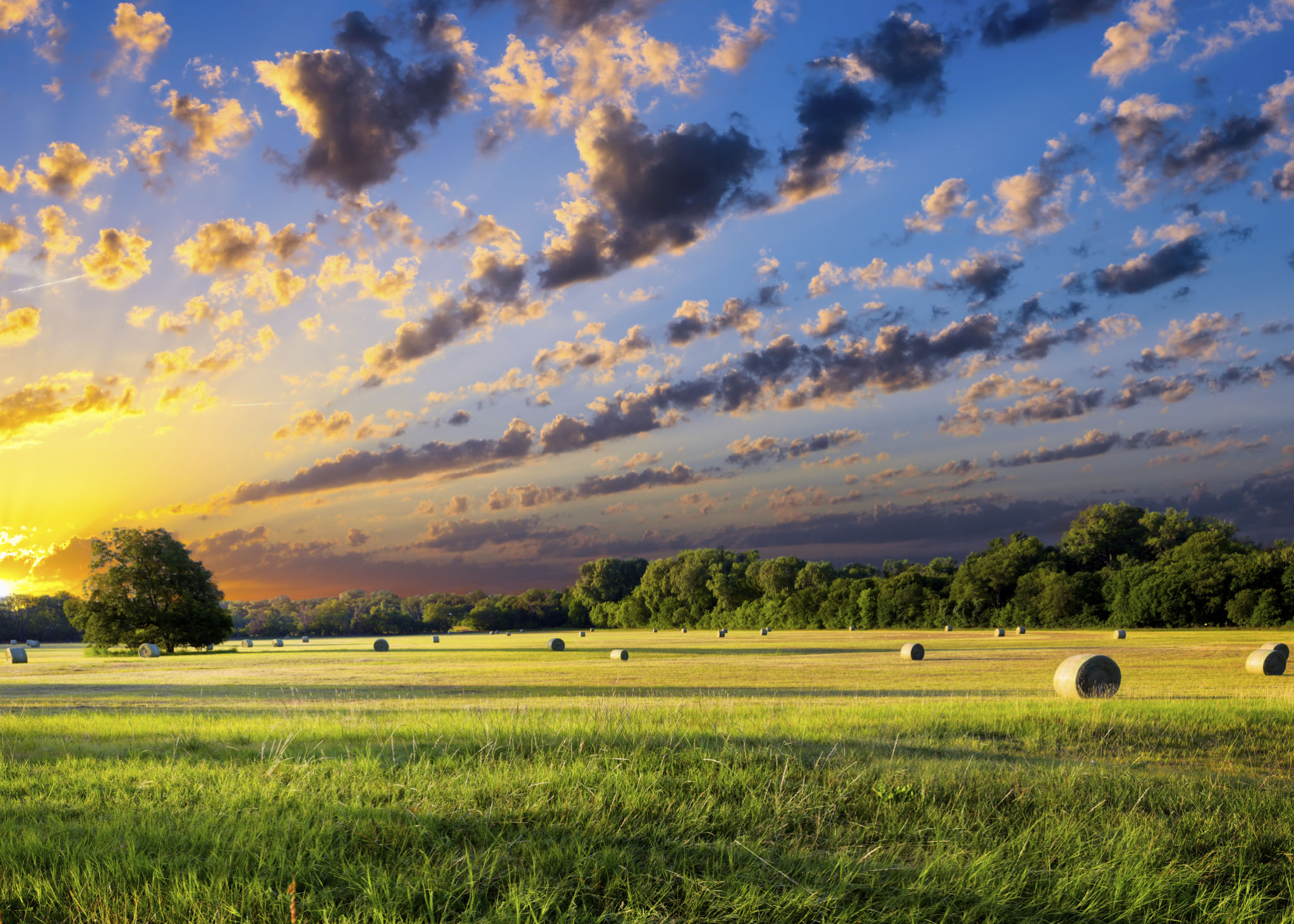 texas summer