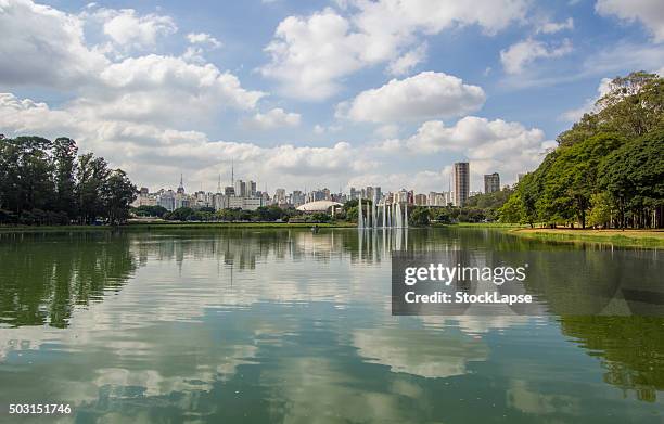 ibirapuera park - sao paulo - ibirapuera park stock pictures, royalty-free photos & images