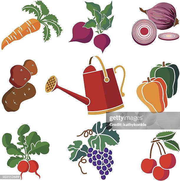 produce from the garden icon set - red onion stock illustrations