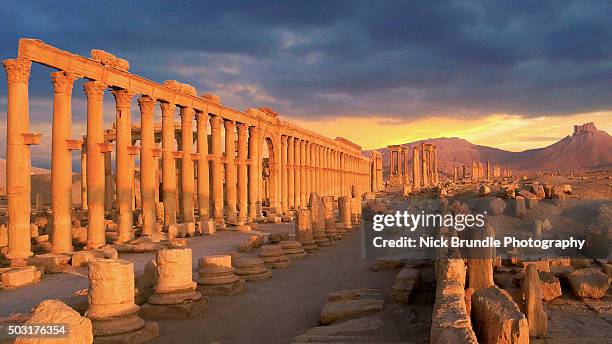 palmyra, syria - palmyra syria stock pictures, royalty-free photos & images