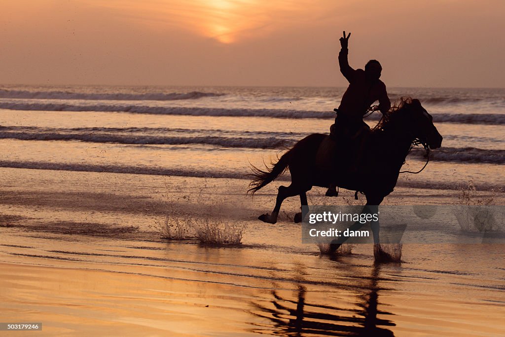 Silhouette of a horse and rider galloping on beach at sunset