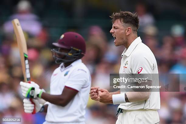 James Pattinson of Australia celebrates dismissing Darren Bravo of West Indies during day one of the third Test match between Australia and the West...