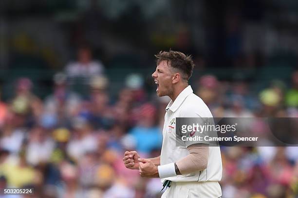 James Pattinson of Australia celebrates dismissing Darren Bravo of West Indies during day one of the third Test match between Australia and the West...