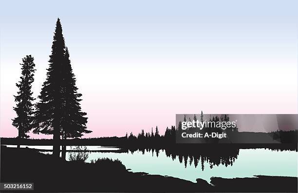 ilustraciones, imágenes clip art, dibujos animados e iconos de stock de a orillas del lago de washington - lago