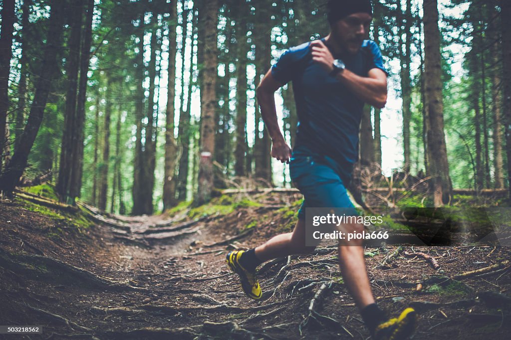 Trail running in the forest