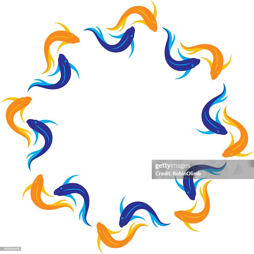 Koi Fish Frame