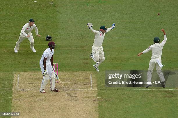 Joe Burns of Australia celebrates taking a catch to dismiss Jason Holder of West Indies during day one of the third Test match between Australia and...