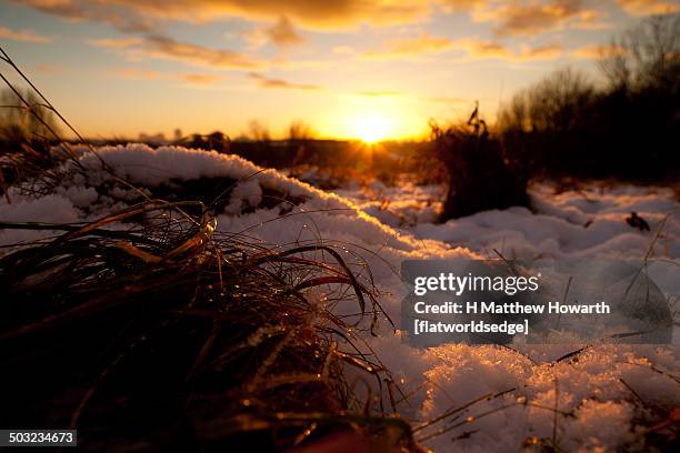 hoar frost thawed by setting sun - blackpool snow stock pictures, royalty-free photos & images