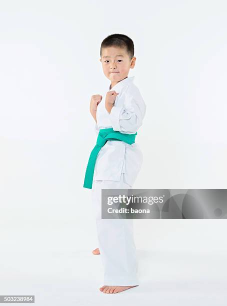 karate boy posieren - grüner gürtel sport stock-fotos und bilder