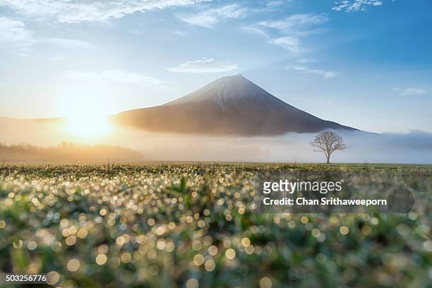 mt.fuji, japan - japan sunrise stockfoto's en -beelden