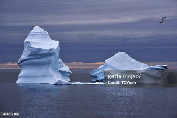 greenland iceberg - glacier calving stock pictures, royalty-free photos & images