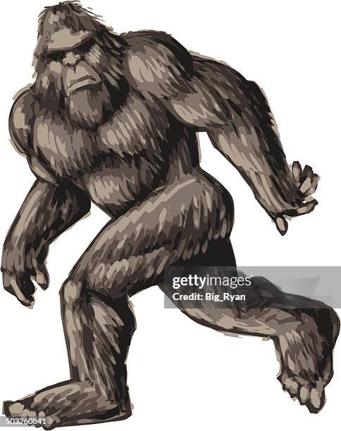 stockillustraties, clipart, cartoons en iconen met painted bigfoot - yeti