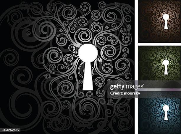 1,708 Metal Lock Texture Stock Photos, High-Res Pictures, and Images ...
