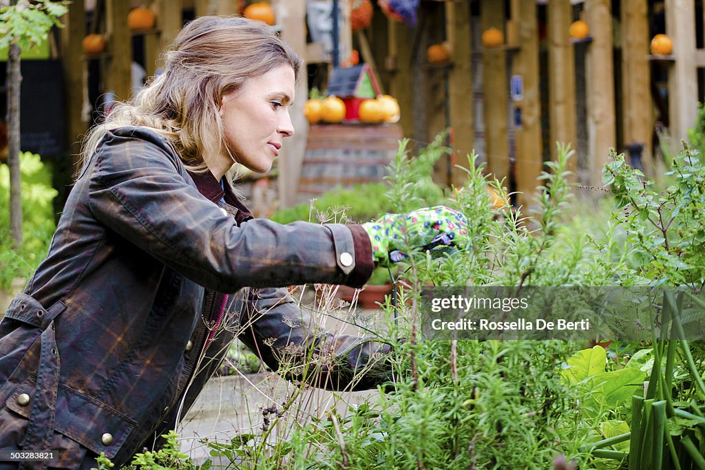 Femme Gardner prenant soin des plantes, pruniers.