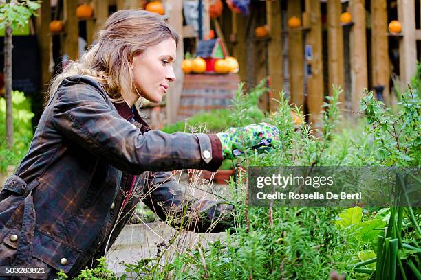 woman gardner taking care of plants, prune. - gardener stock pictures, royalty-free photos & images