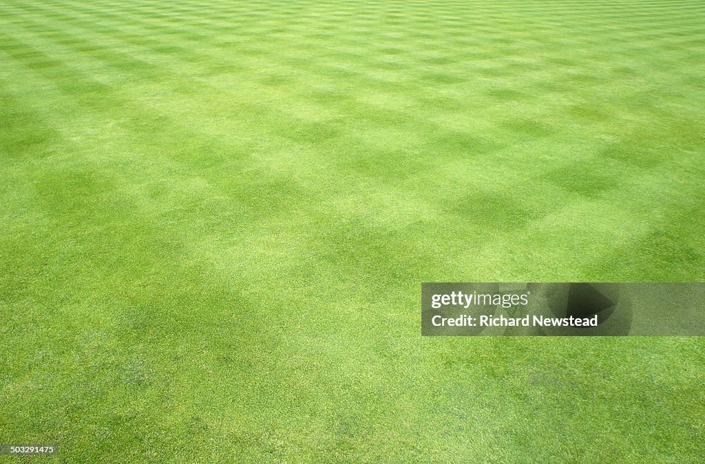 Mowed Lawn