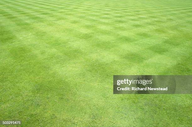 mowed lawn - lawn mowing stock pictures, royalty-free photos & images